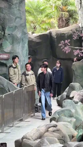 #庞博文 #pangbowen #bangbacvan #xuhuong #xuhuongtiktok 