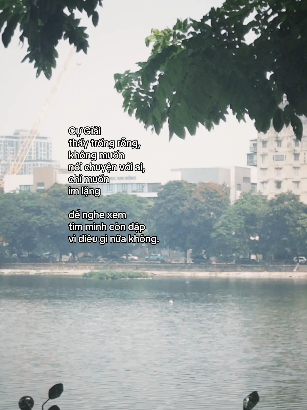 Cự Giải thấy khó hiểu bản thân #eyycuabaone #gatfh #xh #fyp 