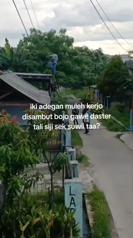 #internet #kuliwifi #foryoupage #risettars 