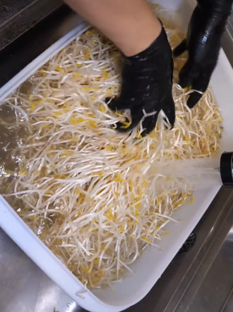 고기폭탄 쌀국수 맛집! 한 달에 1200kg 완판의 전설🔥 설명: 9평 작은 매장에서 하루 종일 고기 썰기 바쁜 주인장! 매일 고기 1200kg이 순식간에 완판되는 이유는? 입안 가득 고기 향연, 진짜 ‘끝판왕’ 쌀국수집을 소개합니다🍜 #쌀국수맛집 #고기폭탄 #한국스트릿푸드 #또간집 #먹방 #맛집탐방 