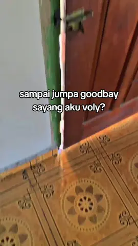 panas 🥵🔥#4au #fypシ゚ #masukberandafyp #volyasik #fyppppppppppppppppppppppp 