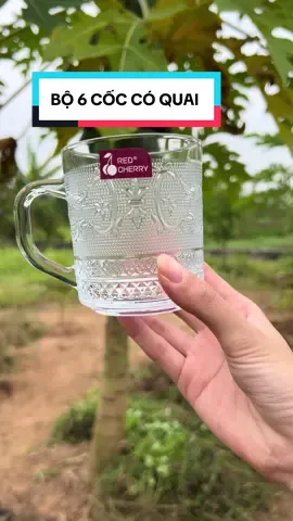 Set 6 ly thủy tinh có quai #lythuytinh #cocthuytinh #lythuytinhdecor #viral #xuhuongtiktok  