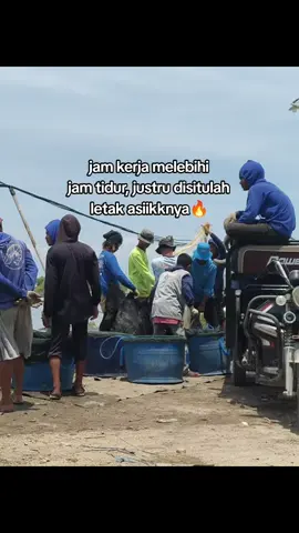 partial ke 1 doc 72, di era harga udang yang semakin menurun #storytimes #duniakerja #udangvaname #perintismuda 