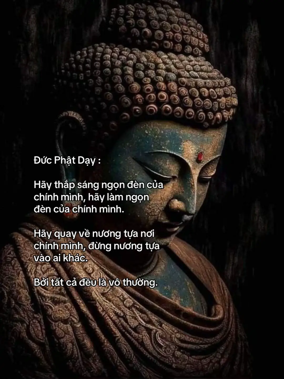 #phatphapnhiemmau #phatphap #xuhuongtiktok #nammoadidaphat #nammobonsuthichcamauniphat 