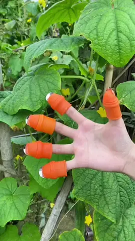 Sarung Jari jempol pisau pemotong buah dan sayur serbaguna. #sarungjarijempol  #pisau  #pisaudapur  #sarungjempol  #sarungtangan 