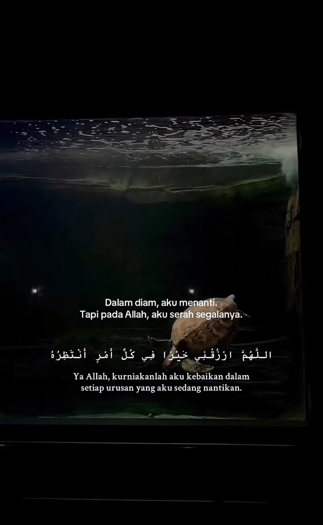 cause what is written to be yours, it’s already yours. #fyp #fy 