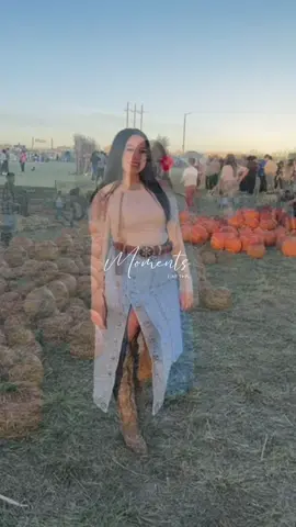 This is your sign to go to the pumpkin patch🎃 #pumpkinseason #fyp #trending 