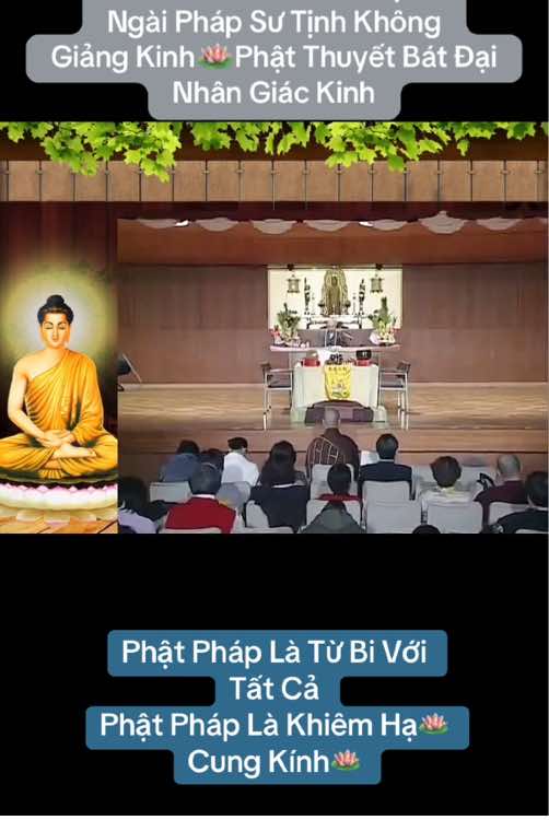 🪷🍀 Phật Pháp Là Từ Bi Với Tất Cả🪷Phật Pháp Là Khiêm Hạ Cung Kính🪷 Giúp Đỡ Chúng Sanh Phá Mê Khai Ngộ Lìa Khổ Được Vui Đây Mới Là Từ Bi Chân Thật🪷🍀🍀