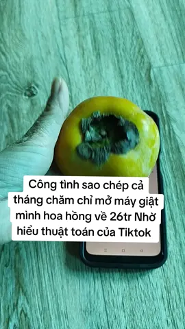 Mẹo làm Ttlk ra đơn mỗi ngày #saocheplienket #vieclamsaophuongbac #tiepthilienket #mebimxaykenh #xuhuong 