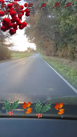 #🔥🔥🔥💥👍😉 ##душевные #песни👍🔥 #