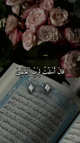 #قال_اسلمت_لرب_العالمين #القرآن_الكريم #فارس_عباد #quran #quran_alkarim 