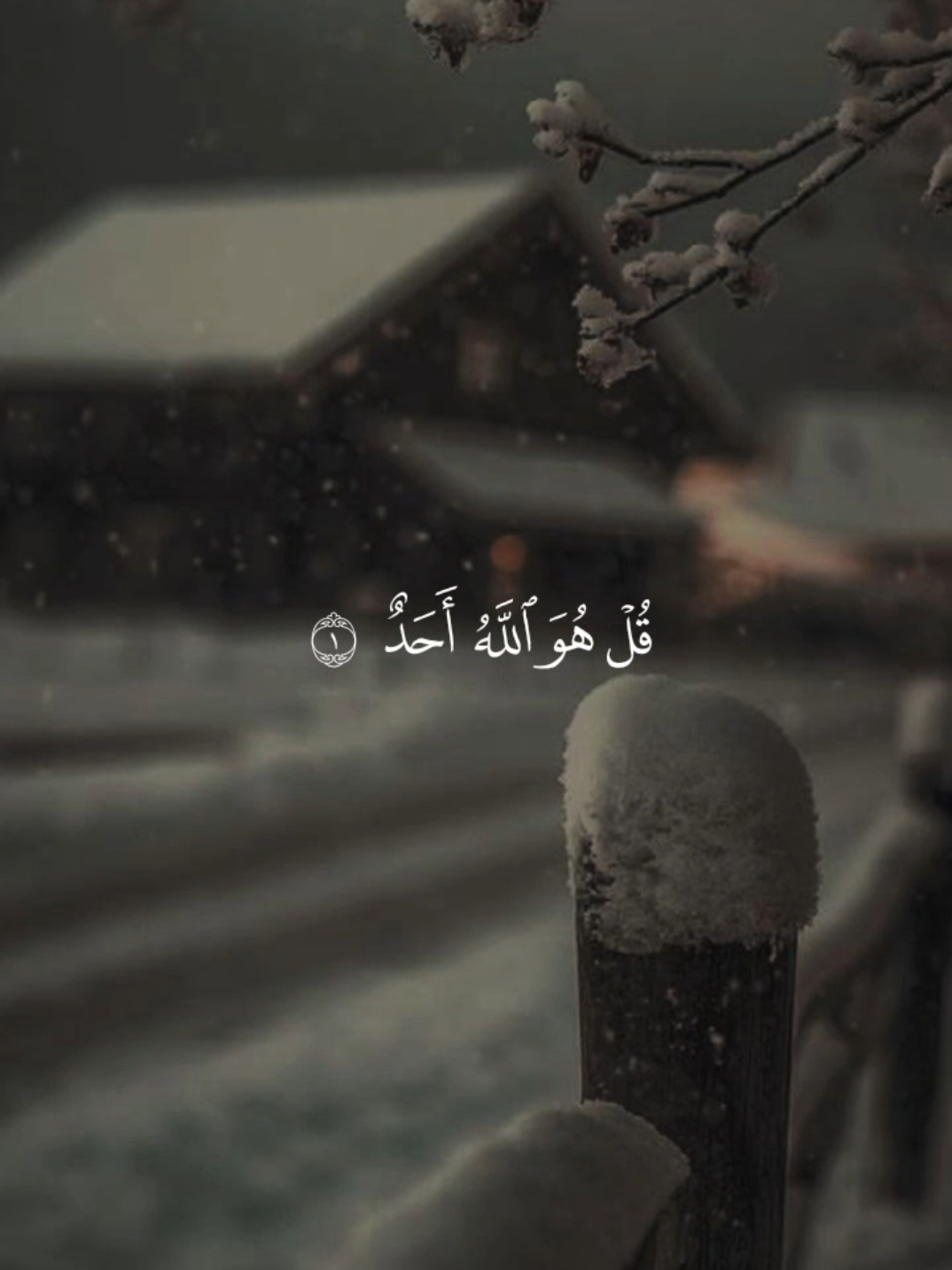 #قران_كريم #ماهرالمعيقلي #دعاء 