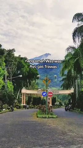 hawane cocok 🍃 #puncaktrawas #xybca #fyppppppppppppppppppppppp 