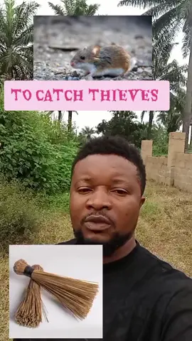 To catch thieves  #foryoupage❤️❤️ #fypppppppppppppppppppppp #fyp #viraltiktok 