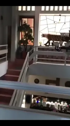 Allahumma sholialamuhamad 🥹🫠🤲#letkolteddyindrawiijaya #sekertariskabinet #fypシ゚viral 