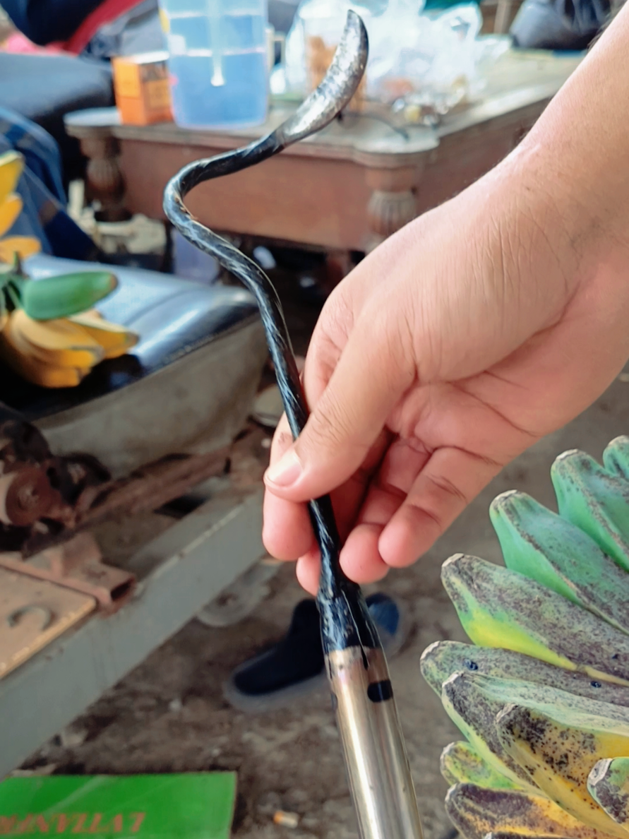 Alat sisir tandan pisang top markotop... sangat simpel dan praktis.. bahan berkualitas  #pisang  #pisanggoreng  #tandanpisang  #banana  #kolakpisang 