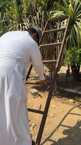 الكادي مع ابو حامد