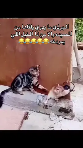 تبغى تضحك ادخل هنا وانبسط#الشعب_الصيني_ماله_حل😂😂 #ضحك #tiktokindia #explo #trend @تركي التميمي 