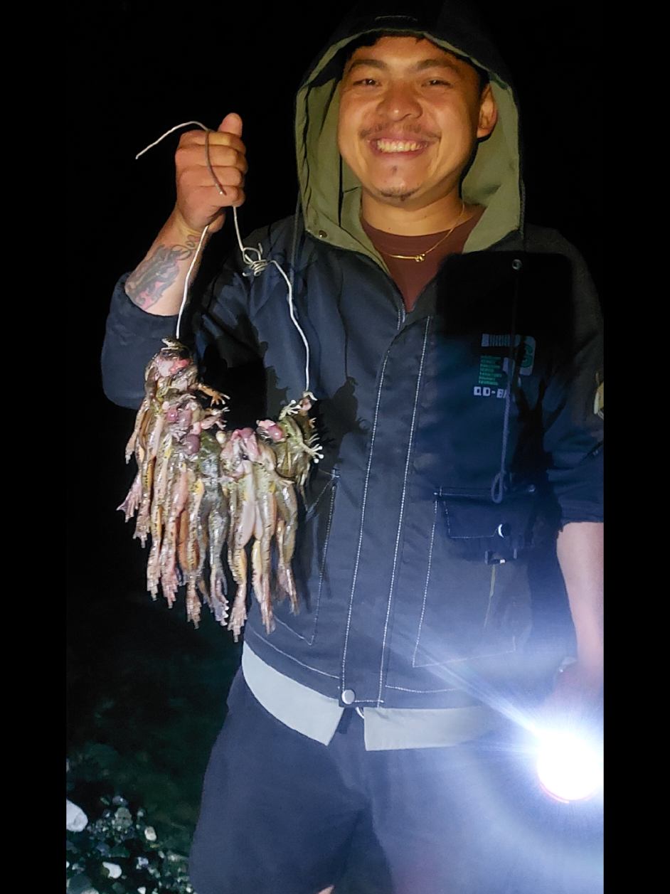 Yaso Sikar Garadya Ko #Paha Ko #sisneri ma #hetaudamuser #frog #river 