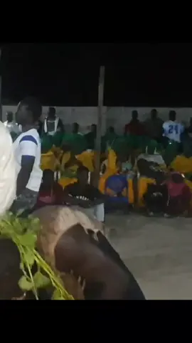 #toutlemonde #lamb #luttetv #lutte #fypシ゚ 