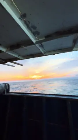 Vì anh yêu em nhất 