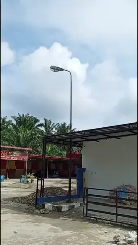 kisaran 👉 cikampak droping 