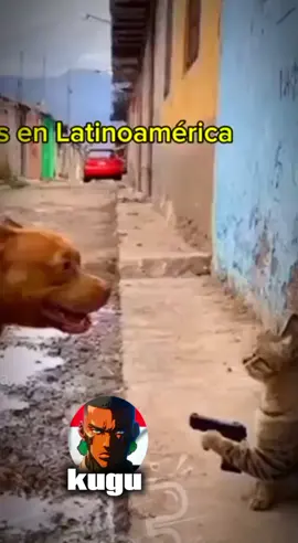 #tiktokmemes😂😂 