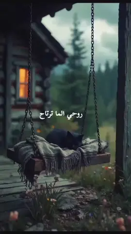 روحي الما ترتاح 💔#باسم الكربلائي #قصائد #fyppppppppppppppppppppppp #اكسبلور 