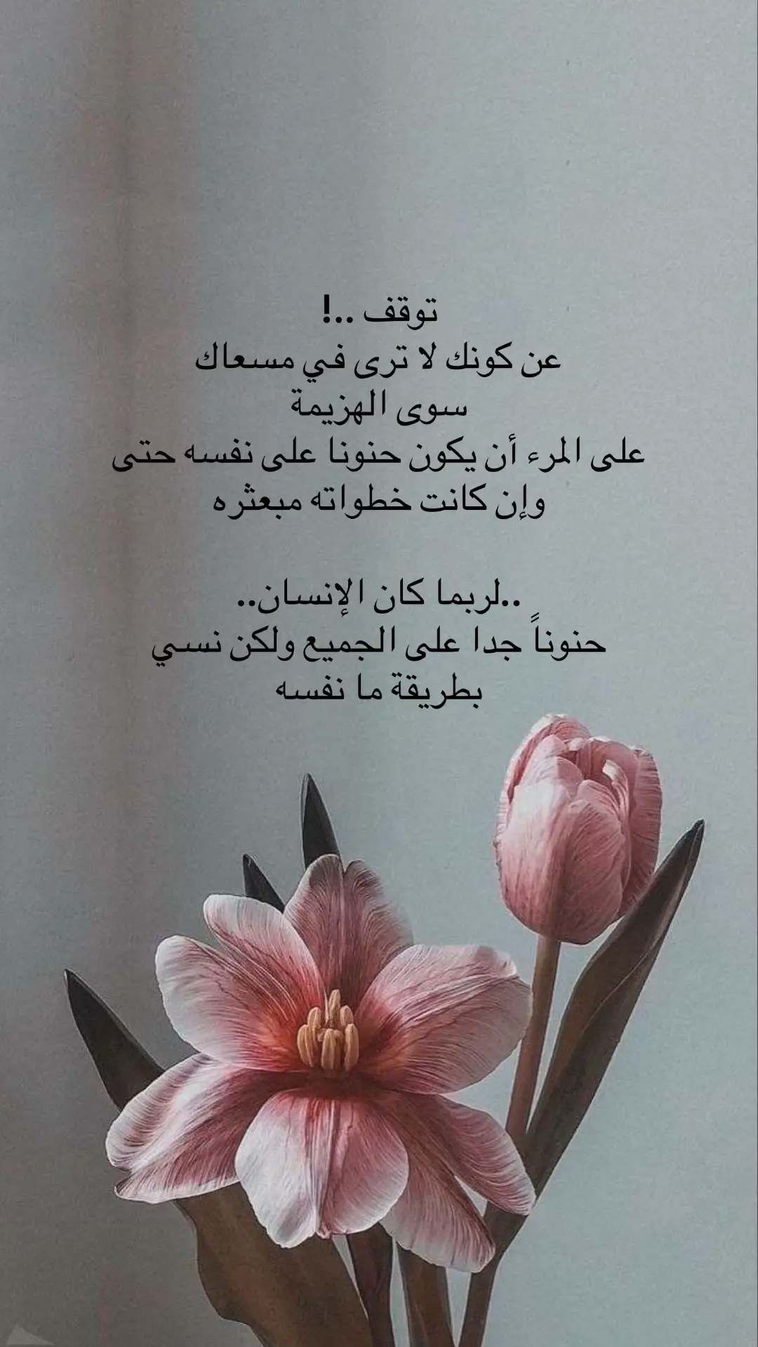 @ارتست كلثوم 💄📸 #حسابي_الثاني💜 #مصورة_زواجات #اكسبلورexplore 