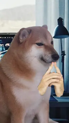 มันจะมีเพื่อนคนนึง #niko25 #fyp #p #พีคตอนจบ #เรื่องเล่า 