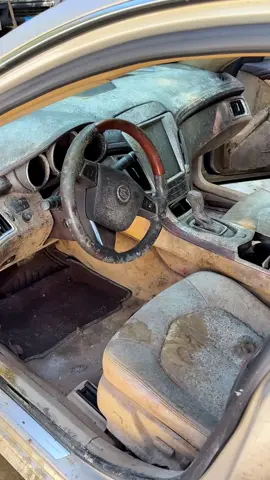 #washingcar #cleaningcar #carwash #asmr #viraltiktok 