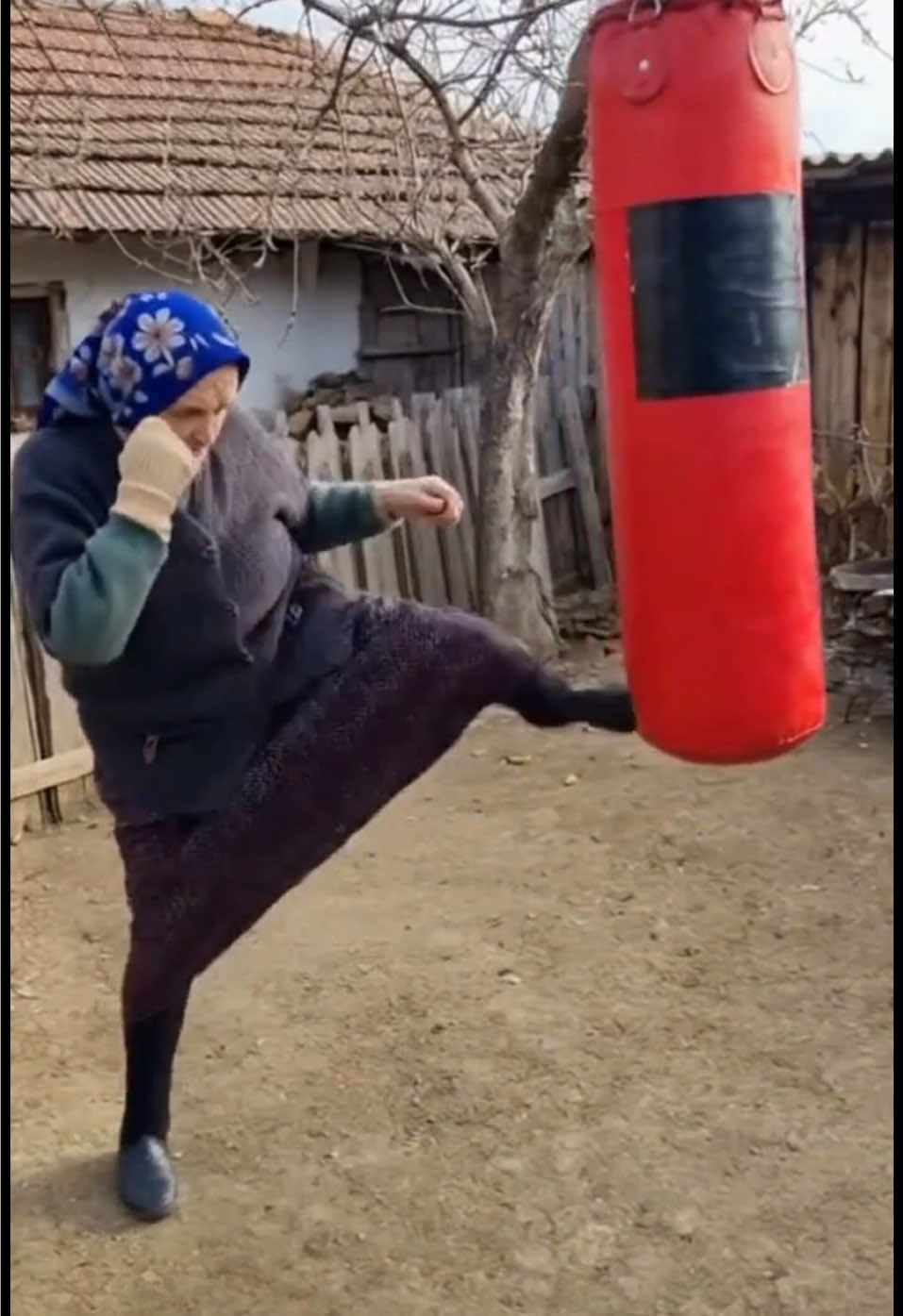 Box la 90 de ani, conditie fizica, care e scuza ta 😀 #box #boxeo #boxing🥊 #boxingtraining #kickboxing 