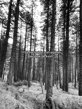 #goviral #viral_video 