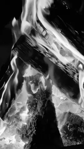 I was never really insane except upon occasions when my heart was touched - a quote