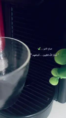 #اكسبلور #explore 🤍🕊️