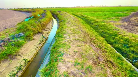 انشاءالله يعجبكم ممكن لايك متابعه#تصويري_احترافي_الاجواء👌🏻🕊😴 #متابعه_ولايك_واكسبلور_احبكم #تصميم_فيديوهات🎶🎤🎬 