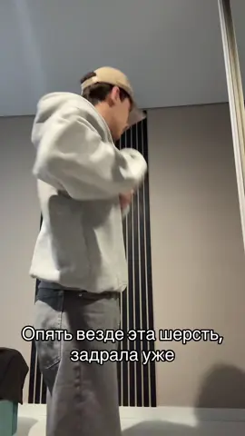 идея не моя😁#fypシ゚ #котик #котогусеница 