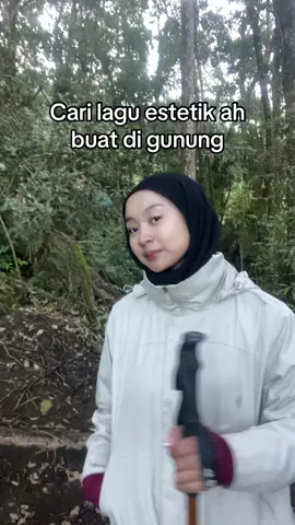 Kalo ditanya alasan “naik gunung” karena apa? 
