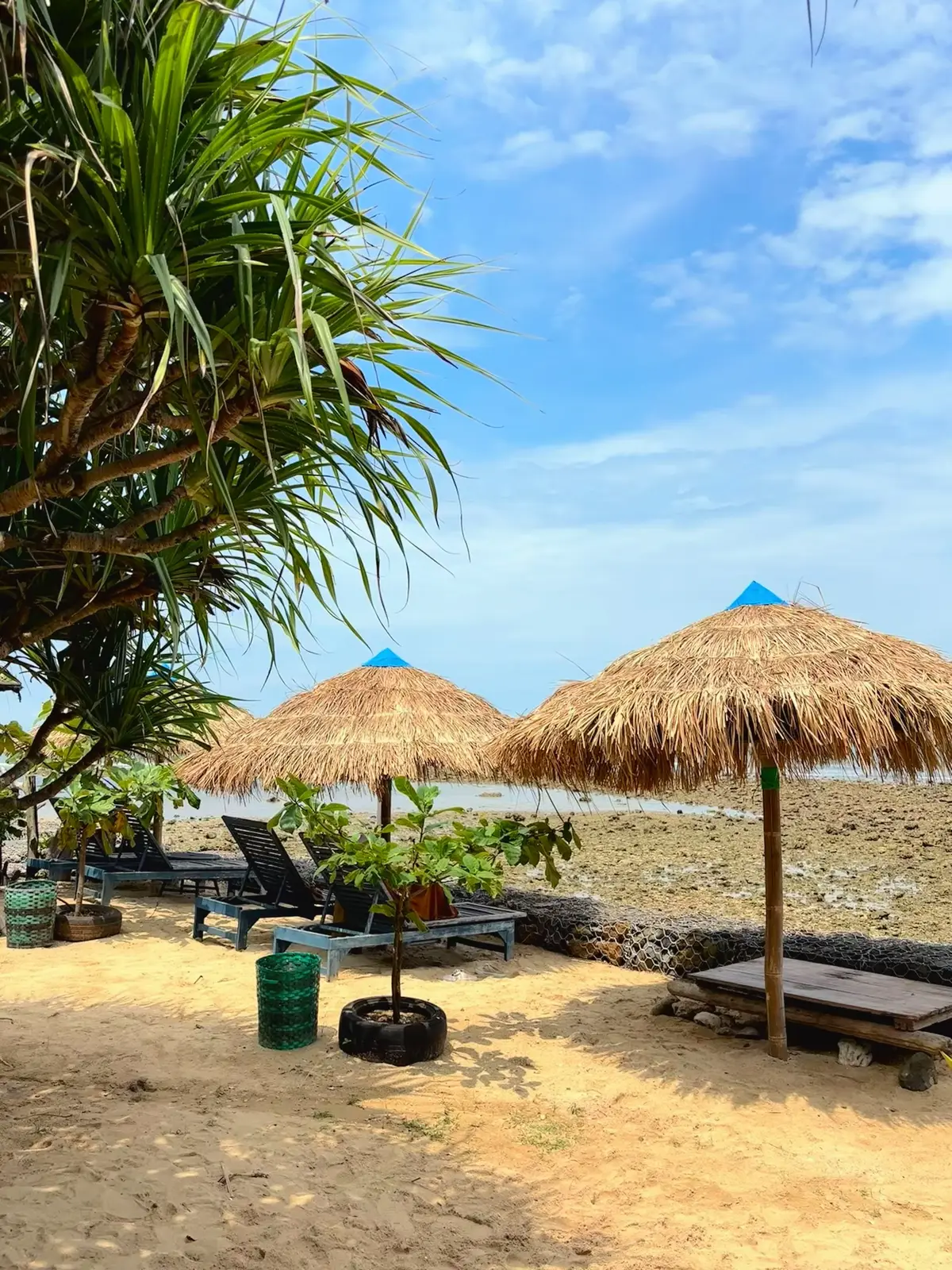 tempatnya cantik banget ya enak buat nyantai sambil menggalau✨🫶🏻 #fyp #jepara #pantaijepara #wisatajepara #pantaipurancak 