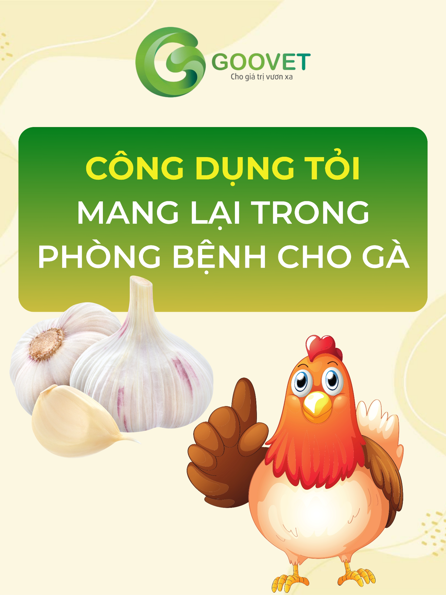 🧄Công dụng tỏi mang lại trong phòng bệnh cho gà🐥 #goovet #thuocthuy #nuoiga #phongbenhchogabangtoi #xuhuong #viral