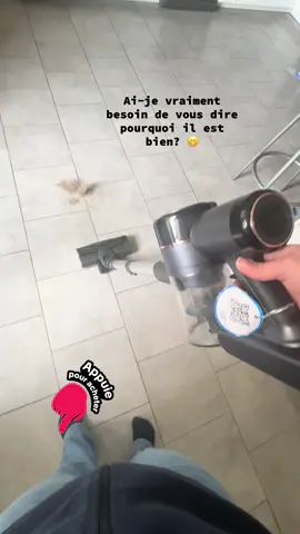 Vous savez pourquoi je l’adore, parce que les poils ne s’enroulent pas autour de la brosse! #aspirateur #Home #poilsanimaux #aspirateursansfil 