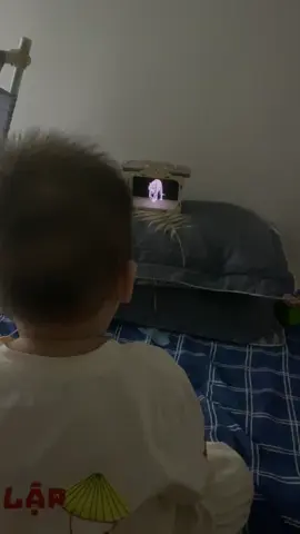 Hộp chiếu phim 3D Hologram cho bé#hopchieuphim3d #hopchieuphimhologram #phim3d #xuhuong #viral 