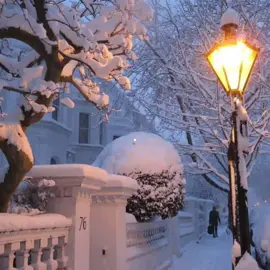 свидетельство о смерти... #свидетельство_о_смерти #петля #смерть #свидетельстоосмерти #fyp #рекомендации 