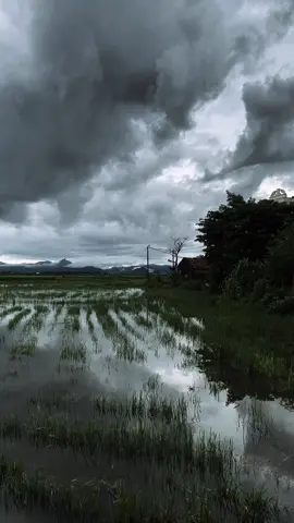 Phú Yên mùa mưa bão #phuyen #daklak 