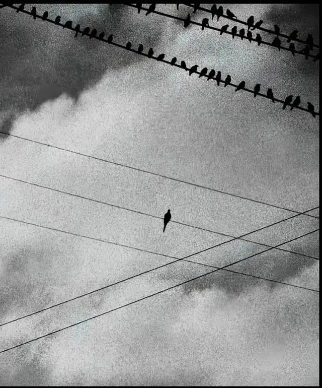 #اكسبلورexplore  #طبرق_ليبيا🇱🇾✈️ #طبرق  #طرابلس_بنغازي_المرج_البيضاء_درنه_طبرق  #الشعب_الصيني_ماله_حل😂😂 