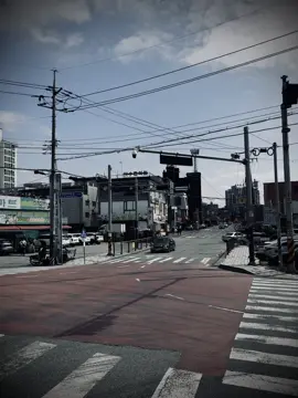 Tự tay tạo nên sai lầm, cũng tự mình gánh lấy hậu quả. Mất mát là cái giá cho những điều mình từng chọn. Không có gì đáng để hối hận...#xuhuong #tamtrang #vairal #flopvcl #fyp 