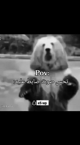 هههههههههههههههههههههه #رياكشن #ضحك😂 #explore #الاكسبلور🔥 