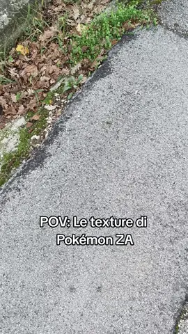 le texture ultra realistiche del gioco #pokemon #texture #pokemonZA #pokemoncommunity #fyp 