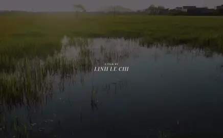 Nơi khởi nguồn của tình yêu🩷