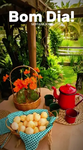 Bom Dia! #CapCut #BomDia #Sabádo #CaféNaRoça #Sertanejo10